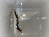 AE55AEEE-E9C1-4894-B4C1-03AD9007F6F9.jpg