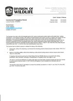 permit1.jpg