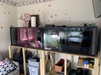 6F402A2E-3BBB-4DCF-8598-64E91924DEE0.jpg