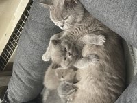 A77F6BB7-B01A-40ED-AC9F-3AC6A9AFEE41.jpg