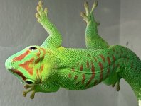 10913581-C579-4D87-B8F1-FC04FDADDBC6.jpeg