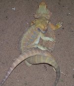 100_3721.jpg
