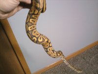 j phone upload 105.jpg