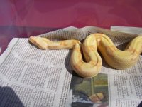 100_3730.jpg
