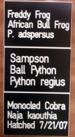 2011-01-01 20.43.05.jpg