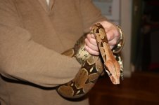 IMG_0159.jpg