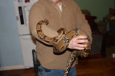 IMG_0157.jpg