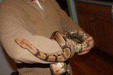 IMG_0156.jpg