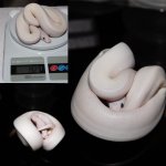 46D74192-96C1-450A-9BAB-7AAF3D9E1BAE.jpg