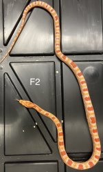 FF27DA3F-DE4B-4606-ACBB-E93A933883A6.jpg