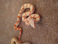 IMG_20220127_172756607.jpg