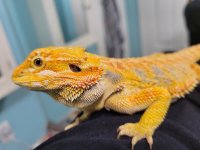 20220414_205623(0).jpg