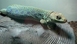 0E34A568-D16C-4F25-B438-E828E6DD4C68.jpg