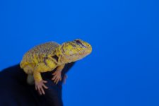 IMG_8051.jpg