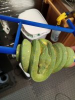 IMG_20220302_105117978.jpg