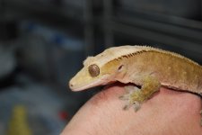 DSC_0001.jpg