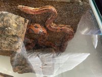 IMG_2227.jpg