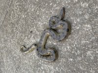 IMG_7765.jpg