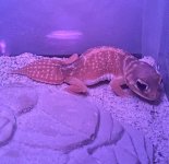 IMG_0709.jpg