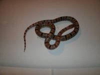GEDC2782.JPG