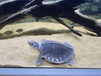 IMG_20220129_193151_438.jpg