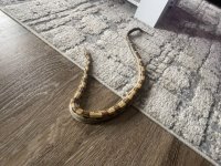 thumbnail_IMG_9165.jpg