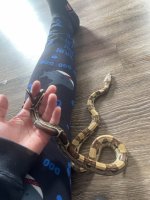 thumbnail_IMG_9163.jpg