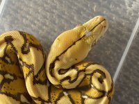 IMG_0393.jpg