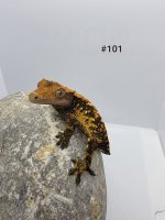 20220404_130049.jpg