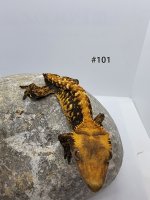 20220404_130021.jpg