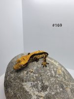 20220404_125908.jpg