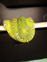 IMG_20220303_152521000.jpg