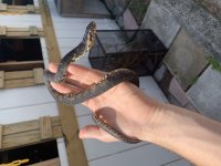 B10BA17F-F520-488F-804F-6935376DA2C9.jpg