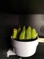 IMG_20220303_153022596.jpg