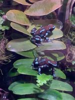 IMG_8773.jpeg