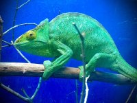 IMG_0148.jpg