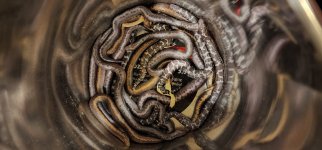 20220409_205746.jpg