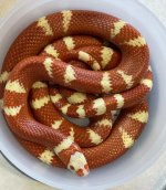 8E018857-1ABF-45C5-B9B7-CF266F26DAA4.jpg