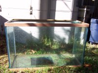 aquarium1.jpg
