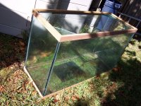 aquarium2.jpg