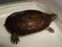 DSCF7262.jpg