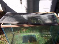 aquarium7.jpg