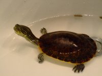 DSCF7308.jpg