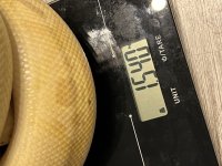 600581E6-F05D-443F-81EE-D8C41181C7F4.jpg