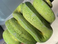 31F222F9-4522-4E55-89AD-0E577F2F40C0.jpg