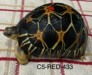 2E4C63D6-5101-4CFD-BC84-136AFB4B35BC.jpeg