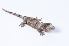 RoNy0221 - 1.jpg