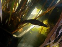 20220125_120251[1].jpg