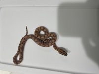 IMG_6898.jpg