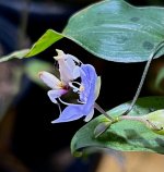 IMG_1184.jpg